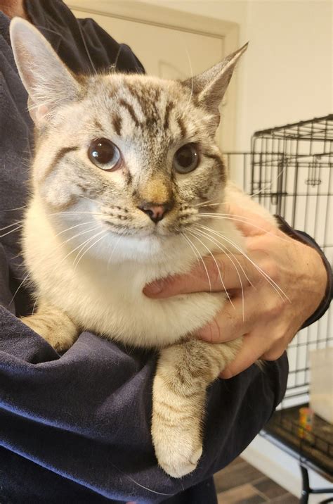 Pet owners praise humane society of mohave county animal medical center 18