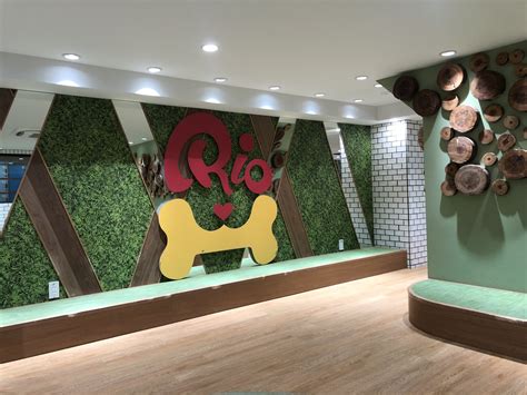 Puppy Cafe Rio — As Seen In Japan