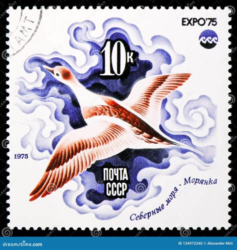 Long-tailed Duck (Clangula Hyemalis), Expo 75 Serie, Circa 1975