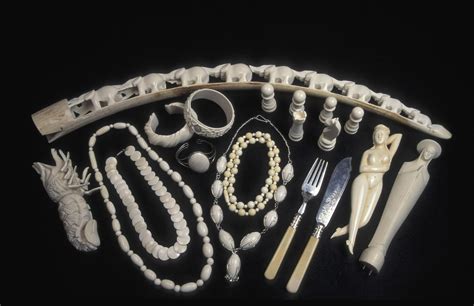 A Brief History of the Ivory Trade in Africa