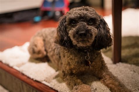 Sony A7r4 Review | Enthusiast Photography Blog