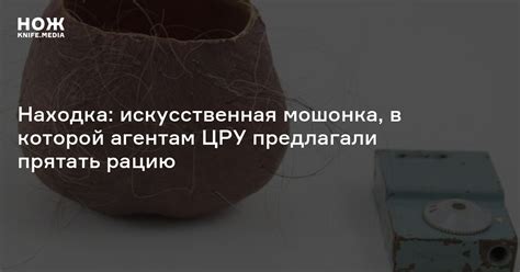 Находка: искусственная мошонка, в которой агентам ЦРУ предлагали ...