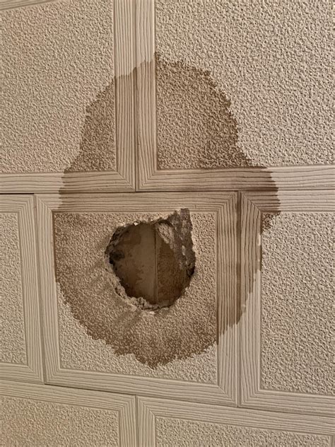 Ceiling Leaking And Moldy : r/Plumbing
