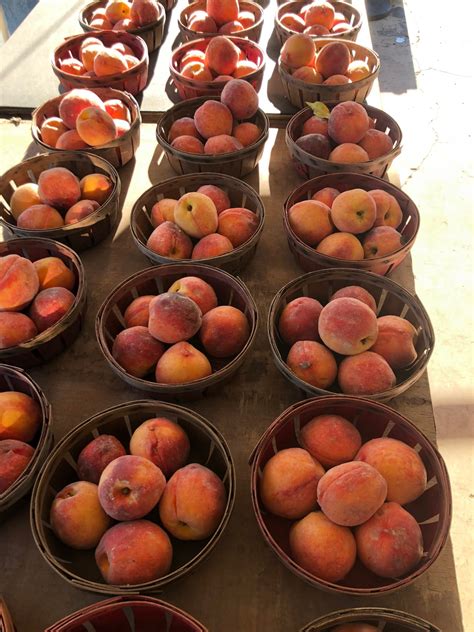 Goetsch’s Fresh Fruits... - Goetsch’s Fresh Fruits & Veggies