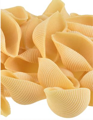 Conchiglioni Large Shells Manicaretti Rustichella | Pasta Perfetta