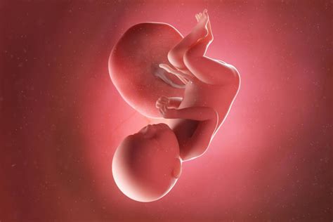 Qual A Probabilidade Do Bebê Nascer Com 39 Semanas - 39 semanas de gestação: desenvolvimento do bebê