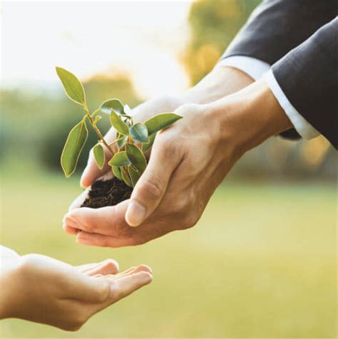 sustainability fks multi agro