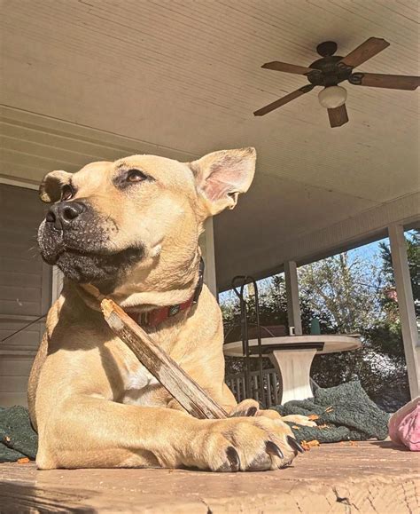 happy birthday therese 8