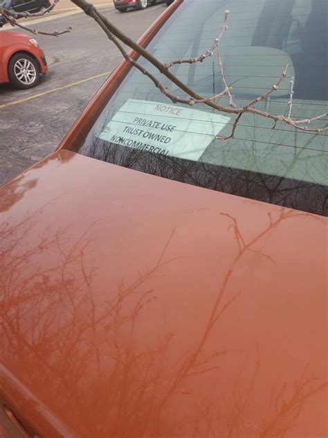 No real license plate. Just noticed today I work with a crazy person ...