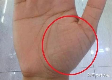 健康看：手掌反射区（看图） - 知乎
