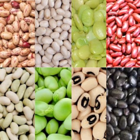 beans beans  beans flexitarian kitchen