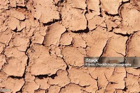 Mudcrack Dessication Cracks Arid Floodplain Stock Photo - Download ...