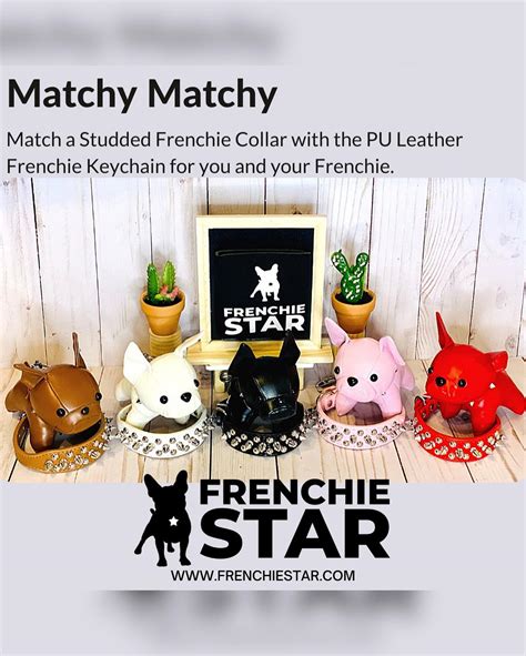 Frenchie Star | Scottsdale AZ