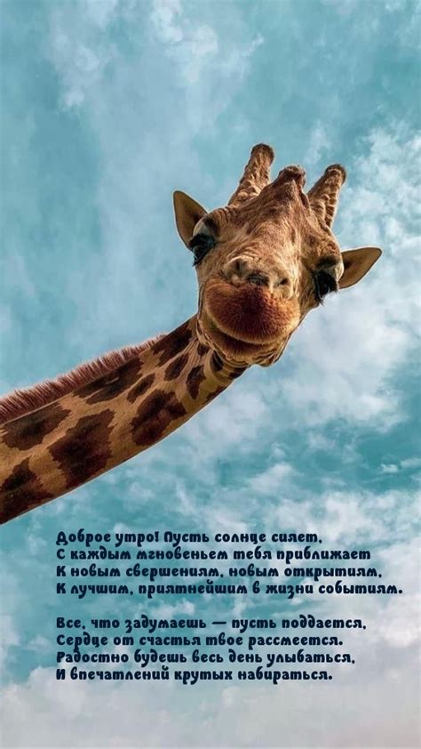 Картинка - Доброе утро! Пусть солнце сияет.