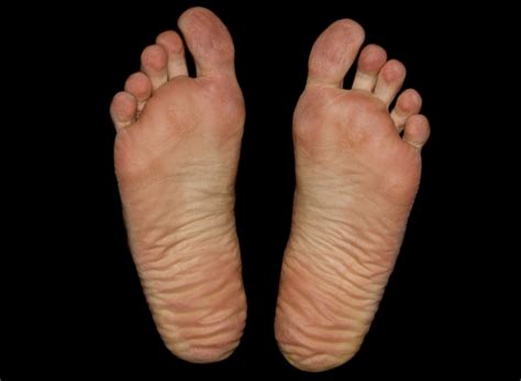 images hand feet leg finger foot sole arm nail mouth