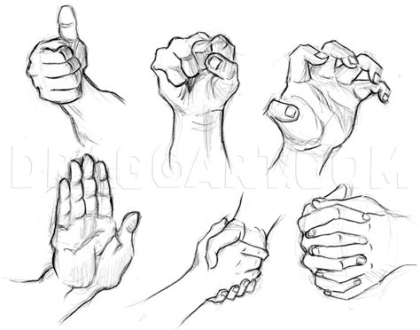 draw realistic hands draw hands drawing step  step  catlucker dragoart