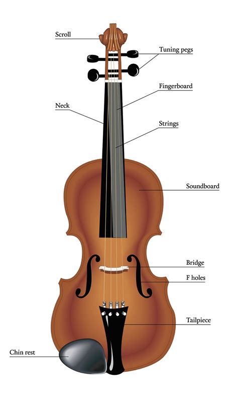Parts Of A Viola Bow