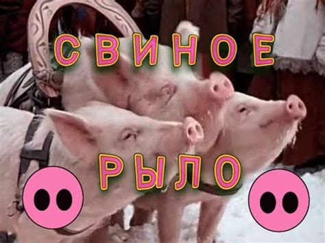 Музей СВИНОЕ РЫЛО - YouTube