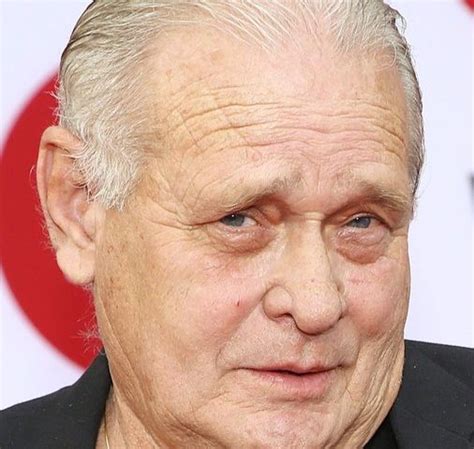 Bo Hopkins - Biography, Height & Life Story | Super Stars Bio