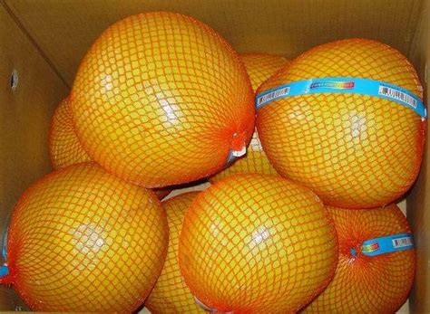 China Pomela - China Pomelo, Pomela
