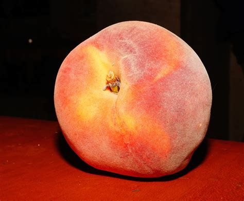 Нектарин Фото Плода – Telegraph