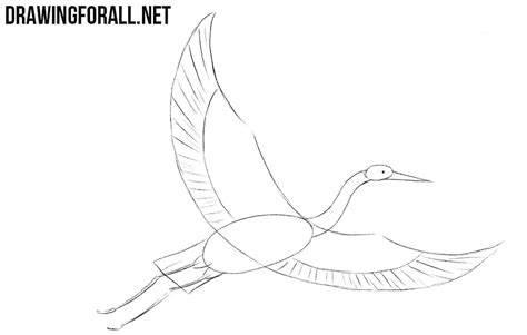 how to draw crane bird
