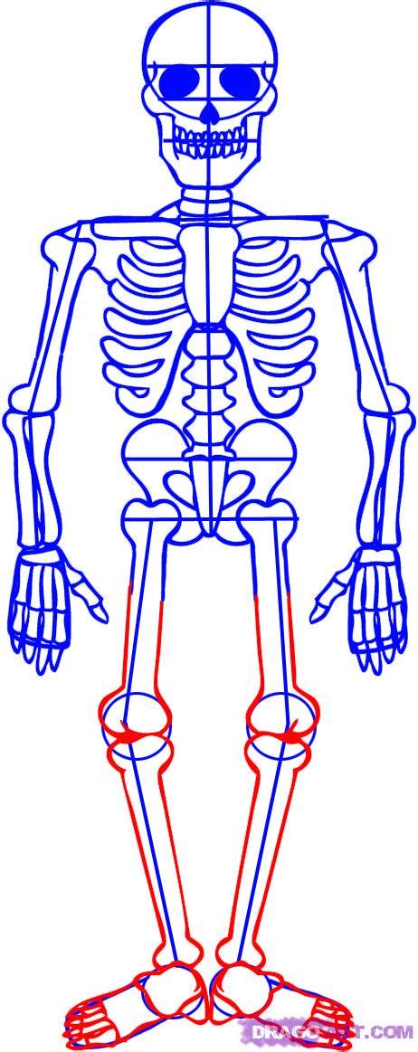 Skeleton Drawing Easy at PaintingValley.com | Explore collection of ...