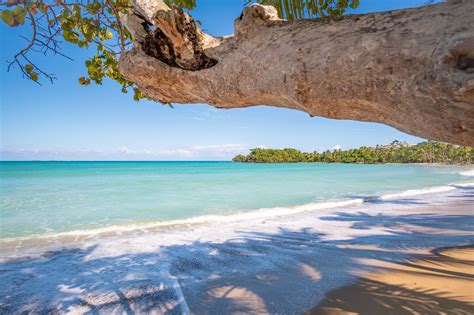 20 Best Things to Do in the Dominican Republic