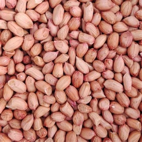Dried Peanut Kernel, 40 Kg at ₹ 100/kg in Amreli | ID: 26407602048