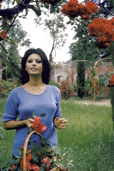 Sophia Loren's Iconic Style In Photos | Sophia loren photo, Sofia loren
