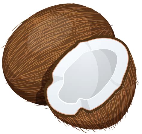 coconut clip art 6