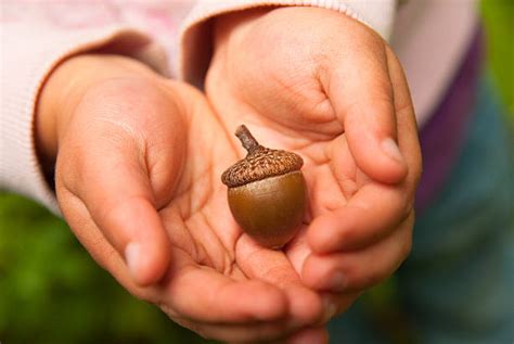 Acorn Bowman Finance Investment Management Ltd