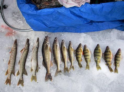 Eagle Lake Ontario Ice Fishing