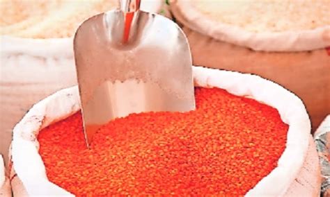 masur production  touch record  mn tonnes govt  hitavada