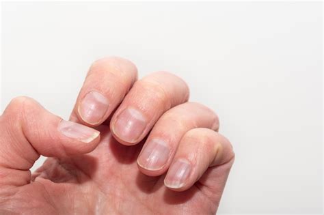 Premium Photo | Closeup of a Caucasian female hand with natural ...