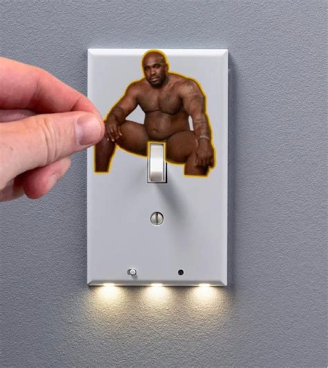 Barry Wood Light Switch Sticker Calcomanía Divertida Broma Lol - Etsy