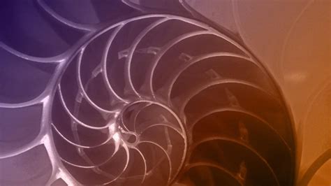 The Great Math Mystery | NOVA | PBS