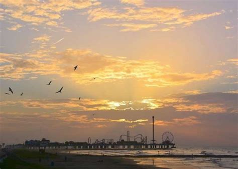 Day to Day Calendar – Galveston Island Guide