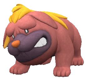 ShinyHunters - Guides