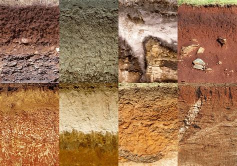 The Benefits of Soil Testing - The Landscape Library