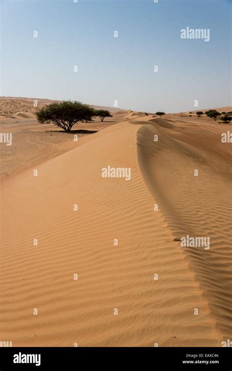 Linear dunes oman hi-res stock photography and images - Alamy