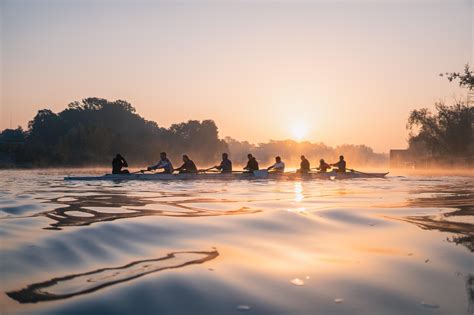 Wondering which rowing machine to buy? Here is a decision tree to help