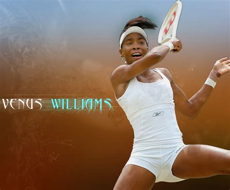 Venus Williams Beautiful New HD Wallpaper 2014 | Lovely Tennis Stars
