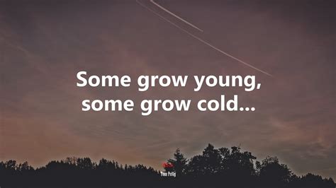 women brunette face eden petty, HD Wallpaper | Rare Gallery