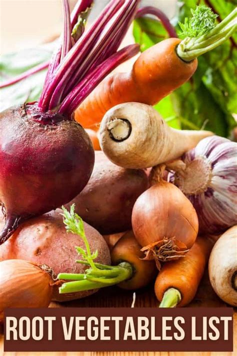 Root Vegetables List: 15 Favorites With Pictures