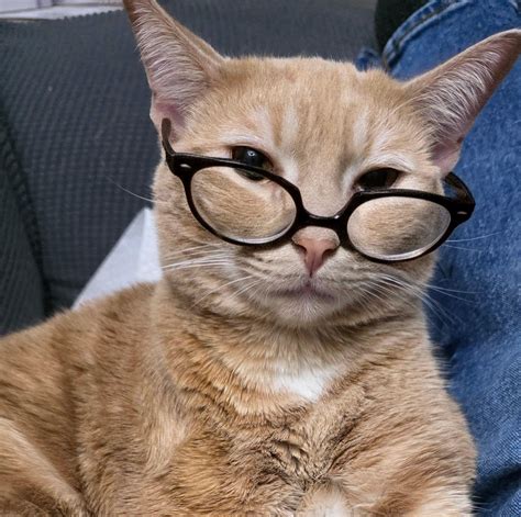 Jewel-Osco - We love local! And we love it even more when we can save