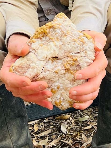 Gold Findings Australia at Virginia Nealon blog