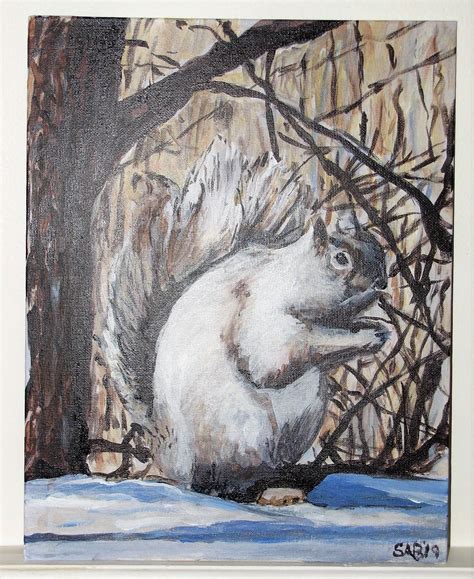 how to draw a grey squirrel