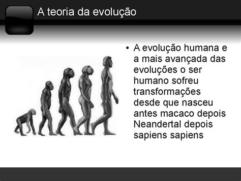 Alexandre Lima: Evolução Dos Seres Vivos
