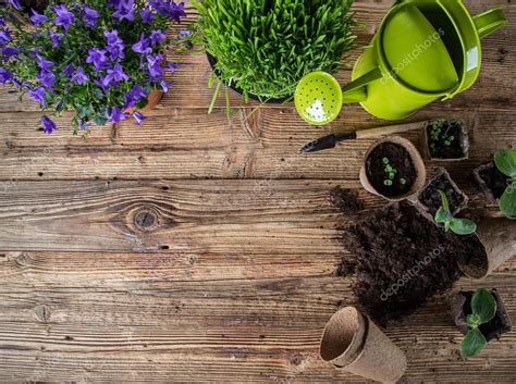 Gardening tools and flowers on wooden background — Stock Photo © Kesu01 ... 